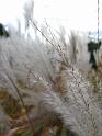 05102008 170230IMG1880